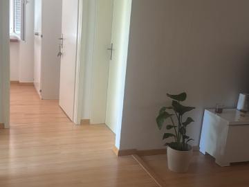 WG Zimmer in Hofhölzliweg 1, 8046 Zürich für 850 CHF