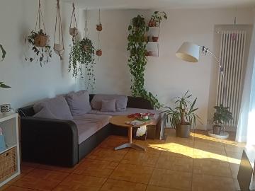 WG Zimmer in Lindstrasse 41, 8400 Winterthur für 950 CHF