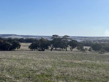 Where Opportunity Meets Lifestyle ~ Homestead Potential...