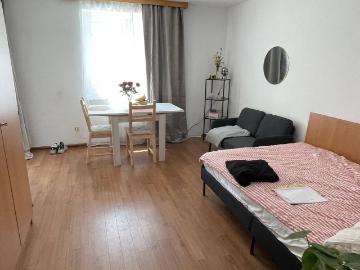 Wohnung in Filzmoos zu vermieten