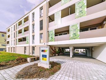 Wohnung in Horn