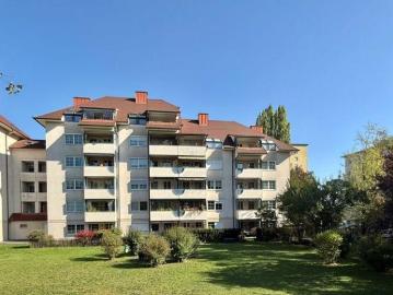Wohnung Wels Wels 105881441