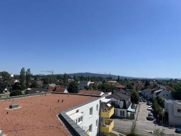 Wohnung Wiener Neustadt Wiener Neustadt 103490626