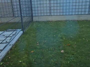 Wohnung 3 Schlafzimmer Zu Vermieten Schwechat AUT 1616...