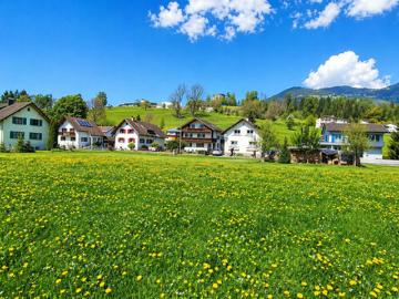 Wunderschön gelegenes Baugrundstück in Schlins