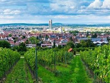 Zu Verkaufen Einzelhandel Gols Österreich DS104879902
