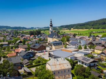 Zu Verkaufen Haus Thalgau Thalgau DS104140344