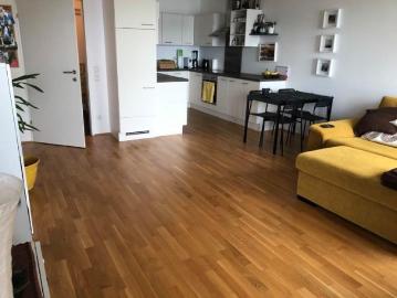 Zu Vermieten 3 Schlafzimmer Wohnung Linz AUT DLS104438067