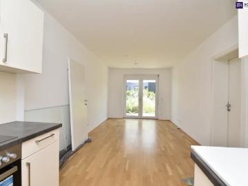 Zu Vermieten Wohnung Graz Graz DS104918232