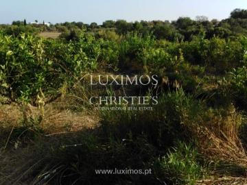 à venda Fazenda Luz de Tavira e Santo Estêvão, Portugal