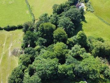 Acres Of Woodland, Hensol, Land For Sale
