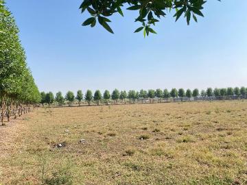 Agricultural Land in Naya Raipur for resale Raipur. The...