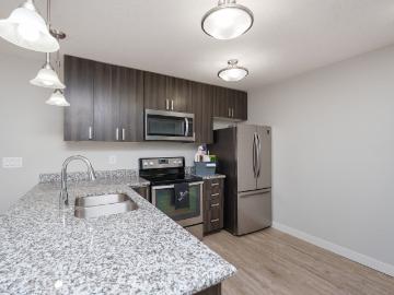 Addison Square Apartments 1 Bedroom Apartment for Rent...
