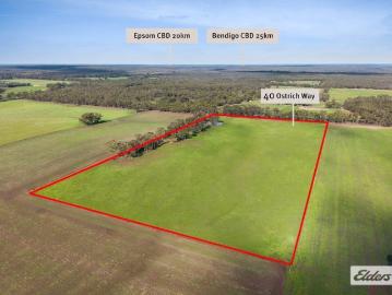 Affordable Hobby Farm with Potential