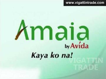 Amaia Scapes Affordable AYALA Property