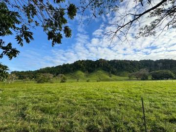 An Idyllic 6.99 Acre Country Retreat in the Daintree