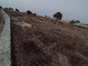 Annonce de Vente – Terrain à Sidi Kaouki – Essaouira