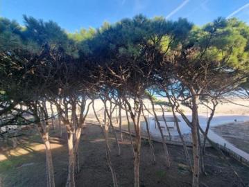 Apartamento Venta Vila seca, La Pineda