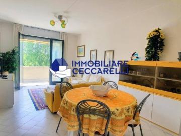 Appartamento in affitto a Massa MS