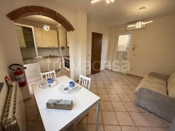 Appartamento in affitto a Pietrasanta, arredato,...