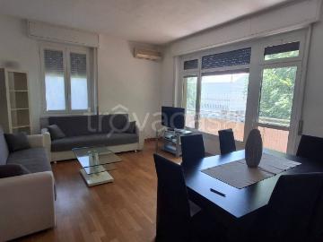 Appartamento in in affitto da privato a San Donato...