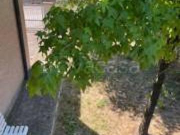 Appartamento in vendita a Reggio nell'Emilia via...