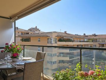 Appartement T3 84 m2 avec terrasse Allées Provençales Ce
