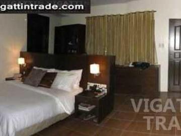 Bacolod City Fully Furnished House and Lot for Sale