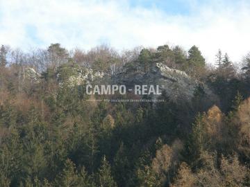 Bauernhof zu verkaufen Loich, Österreich
