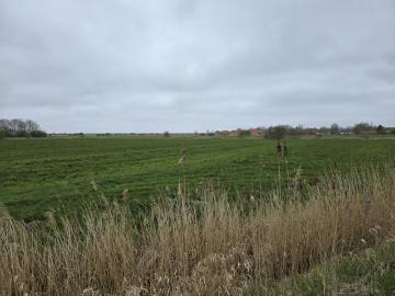 Bauerwartungsland an der Wurster Nordseeküste
