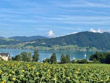 Baugrund in herrlicher Aussichtslage am Attersee mit...