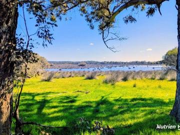 Bidaminna Lake 565ac