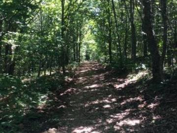 Bosque Honfria Linares De Riofrio Salamanca