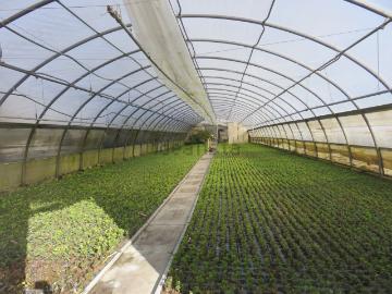 Capannone in vendita di 40000 m²