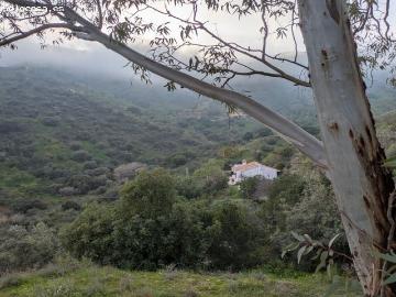 Casa de campo en Venta en Málaga del Fresno, Málaga