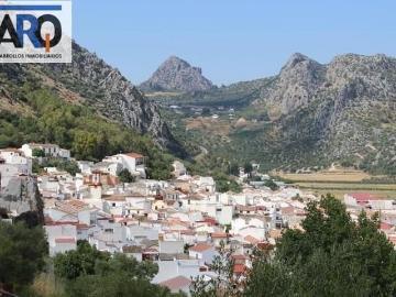 Casa en venta en Benaoján, Málaga