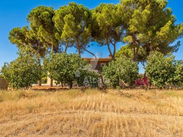 Casa en Venta en El Molar Madrid