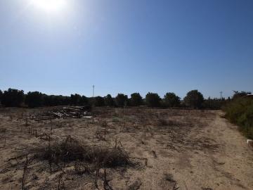 Casa en venta en La Marina, Alicante Costa Blanca