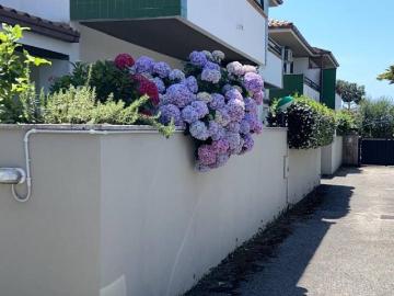 Casa indipendente in vendita a Anzio RM