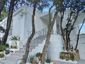 Case e ville in vendita di 500 m²
