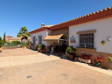 Chalet en venta en Sanlúcar la Mayor, Sevilla