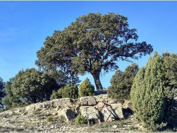 Chalet, Morella