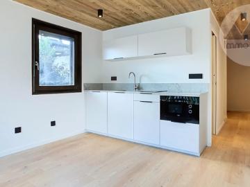 Charmant studio rénové à Praz sur Arly avec balcon