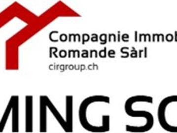Charmante renovierte 4,5 Zimmer Wohnung im Herzen des Dorfes