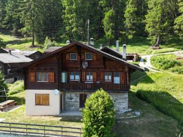 Charmante Wohnung im Salwald bei Mund