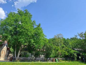 CHARMANTES KLEINES HAUS FÜR HANDWERKLICH GESCHICKTE HÄNDE