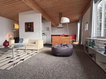 Charming furnished twin villa with view of the lake and...
