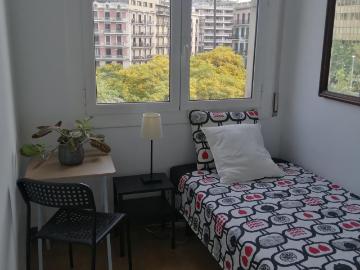 Comfy single bedroom in a student flat, near Universitat...