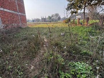 Commercial Industrial Plot 6300 Sq. Ft. in Chhataripur...