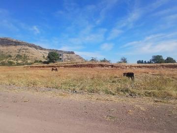 Commercial Industrial Plot 365 Sq. Yd. in Trimbak Road...